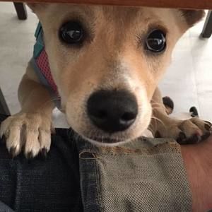 Meet your Posher, Emi